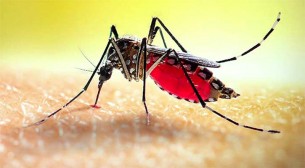 ডেঙ্গুতে একজনের মৃত্যু, নতুন আক্রান্ত ৪০৬