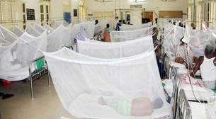 ডেঙ্গু জ্বর নিয়ে হাসপাতালে ভর্তি আরও ১৬৪
