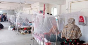 ডেঙ্গুতে নতুন আক্রান্ত ২০৪, অর্ধেকই বরিশাল বিভাগের