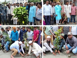 মনপুরায় জুলাই শহীদদের স্মরনে বৃক্ষ রোপন ও দোয়া মোনাজাত