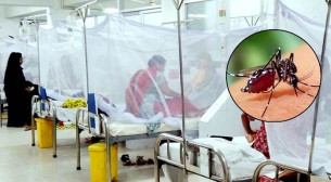 ডেঙ্গুতে তিন মৃত্যু, আক্রান্ত ৪৯২