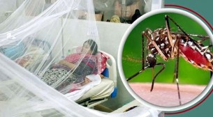 ডেঙ্গুতে চারজনের মৃত্যু, হাসপাতালে ভর্তি ২৪৭