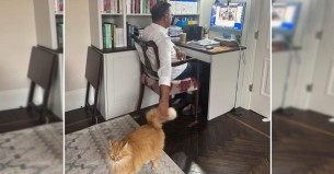 প্রিয় বিড়ালসহ ছবি ভাইরাল, প্রশংসায় ভাসছেন তারেক রহমান