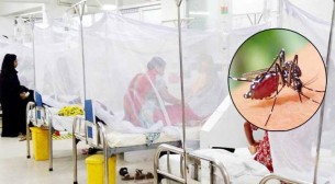 ডেঙ্গুতে ৩ জনের মৃত্যু, হাসপাতালে ভর্তি ৫৫৬