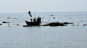 পদ্মা-মেঘনায় ২২ দিন মাছ ধরায় নিষেধাজ্ঞা