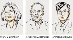 চিকিৎসাবিজ্ঞানে নোবেল পেলেন তিন বিজ্ঞানী