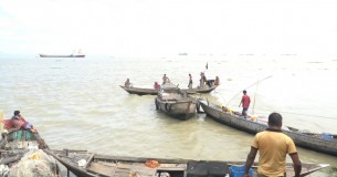 মা ইলিশ সংরক্ষণের লক্ষে আজ থেকে শুরু হচ্ছে ২২ দিনের মাছ ধরার নিষেধাজ্ঞা