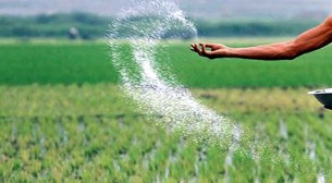 তিন দেশ থেকে ১৮৪৭ কোটি টাকার সার কিনবে সরকার