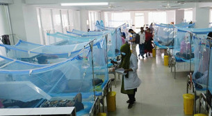 ডেঙ্গুতে ৫ জনের মৃত্যু, হাসপাতালে ভর্তি ১১৩৯