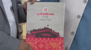 গণভোটে যে ৪ বিষয়ে ‘হ্যাঁ’—‘না’