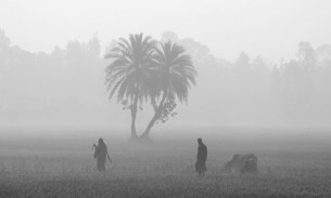 দেশের কিছু স্থানে হালকা থেকে মাঝারি কুয়াশা পড়তে পারে