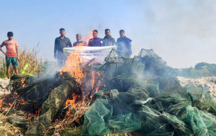 লালমোহনে দুই শতাধিক চায়না দুয়ারি জাল জব্দ