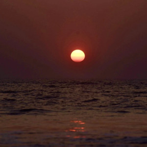 বিদায় ২০২৫, স্বাগতম ২০২৬