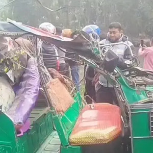 ভোলার বোরহানউদ্দিনে মর্মান্তিক সড়ক দুর্ঘটনা ট্রাকচাপায় প্রাণ গেল ৩ যাত্রীর