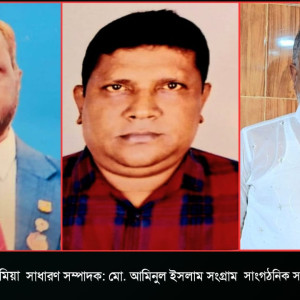 ভোলায় ধান চাউল আড়ৎ মালিক সমিতির কমিটি গঠন