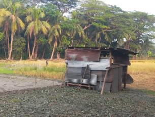 চরফ্যাশনে রাতের আধারে বিরোধীয় জমিতে ঘর উত্তোলনের অভিযোগ