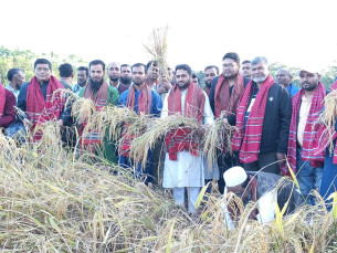 চরফ্যাশনে নবান্ন উৎসব উদযাপন
