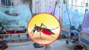 ডেঙ্গুতে মৃত্যু ৪০০ পার