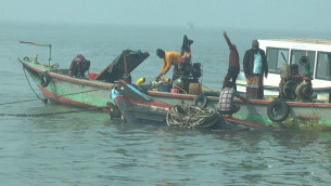 ভোলার মেঘনায় জাহাজের ধাক্কায় ৩০০ টন লবণবাহী ট্রলার ডুবি, ৭ জন জীবিত উদ্ধার