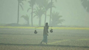 ভোলাসহ ১৭ জেলায় শৈত্যপ্রবাহ, তাপমাত্রা বাড়তে পারে ২ ডিগ্রি পর্যন্ত