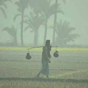 ভোলাসহ ১৭ জেলায় শৈত্যপ্রবাহ, তাপমাত্রা বাড়তে পারে ২ ডিগ্রি পর্যন্ত