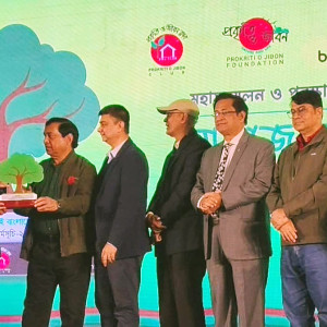 বৃক্ষরোপণে প্রথম পুরস্কার পেল ভোলার প্রকৃতি ও জীবন ক্লাব
