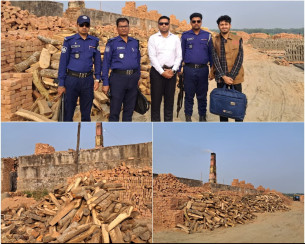 ভোলায় ৩টি  ইটভাটার বিরুদ্ধে ভ্রাম্যমাণ আদালতের অভিযান