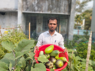 চরফ্যাসনে উপজেলা পরিষদের পরিত্যক্ত আঙিনায় সবজি চাষ