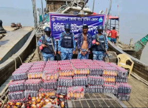 মনপুরা থেকে মিয়ানমারে পাচারের সময় নিত্যপণ্য বোঝাই ফিসিংবোটসহ ১ জন আটক