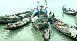 ভোলায়  অভয়াশ্রমে নিষেধাজ্ঞা উপেক্ষা করে মাছধরার মহোৎসব