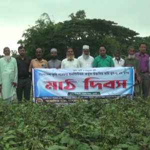 ভোলায় বারি মুগ ডালের কৌশল শীর্ষক মাঠ দিবস পালিত