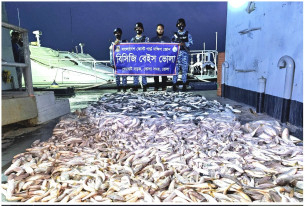 ভোলায় কোস্ট গার্ডের অভিযানে ৫৫০ কেজি জাটকা জব্দ