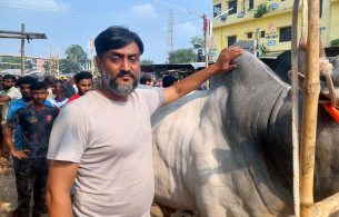 লন্ডন থেকে ফিরে গড়েছেন খামার, ৯ গরু থেকে এখন ১০৫