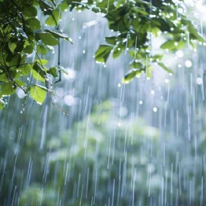 দেশের সকল বিভাগেই বৃষ্টির সম্ভাবনা