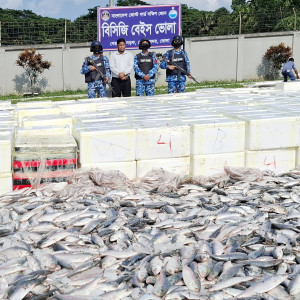 ভোলায় কোস্ট গার্ডের অভিযানে তিন ট্রাক অবৈধ সামুদ্রিক ইলিশ মাছ জব্দ