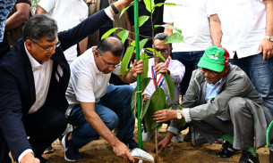 দেশব্যাপী ২৫ কোটি বৃক্ষরোপণ কর্মসূচির উদ্বোধন প্রধানমন্ত্রীর