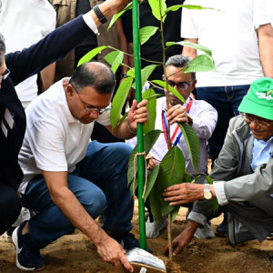 দেশব্যাপী ২৫ কোটি বৃক্ষরোপণ কর্মসূচির উদ্বোধন প্রধানমন্ত্রীর