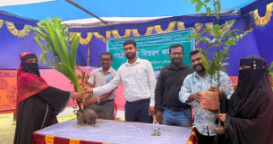 চরফ্যাশনের উপকূলীয প্রান্তিক জনগোষ্ঠীর ও শিক্ষার্থীদের মাঝে বিনামূল্যে চারা বিতরণ