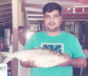 মনপুরায় জেলের জালে রাজা ইলিশ ৯ হাজার টাকায় বিক্রি