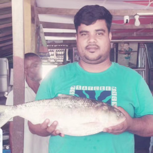 মনপুরায় জেলের জালে রাজা ইলিশ ৯ হাজার টাকায় বিক্রি