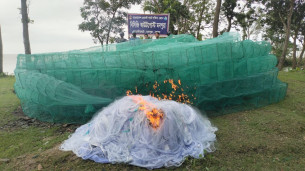 মনপুরার কোস্টগার্ড ও মৎস্য অফিসের যৌথ অভিযানে নিষিদ্ধ চায়না ও কারেন্ট জাল জব্দ