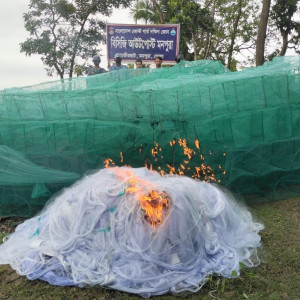 মনপুরার কোস্টগার্ড ও মৎস্য অফিসের যৌথ অভিযানে নিষিদ্ধ চায়না ও কারেন্ট জাল জব্দ