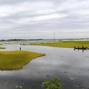 তিন বিভাগের নিম্নাঞ্চলে বন্যার শঙ্কা