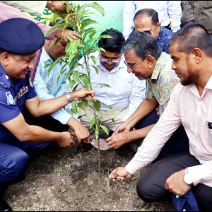 ভোলায় বৃক্ষরোপণ কর্মসূচির শুভ উদ্বোধন