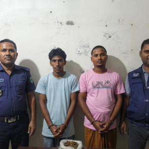 মনপুরায় মাদক সরবরাহের সময় গাঁজাসহ দুই মাদককারবারি আটক