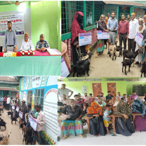 লালমোহনে দ্বীপ উন্নয়ন সোসাইটির উদ্যোগে হতদরিদ্রদের মাঝে ছাগল বিতরণ