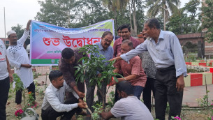 ভোলায় আগামী ৬মাসের মধ্যে ১ কোটি বৃক্ষ রোপন করা হবে: গোলাম নবী আলমগীর