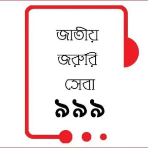 ৯৯৯-এ ফোন : গর্ভবতী স্ত্রীকে নির্যাতন, স্বামীর ৬ মাসের কারাদণ্ড