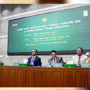 ত্রয়োদশ জাতীয় সংসদ জনগণের প্রত্যাশা পূরণে কাজ করছে: স্পিকার
