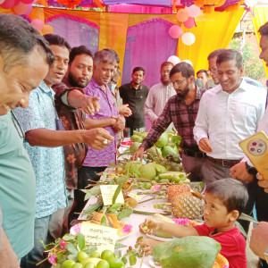 তজুমদ্দিনে জাতীয় ফল মেলার উদ্বোধন